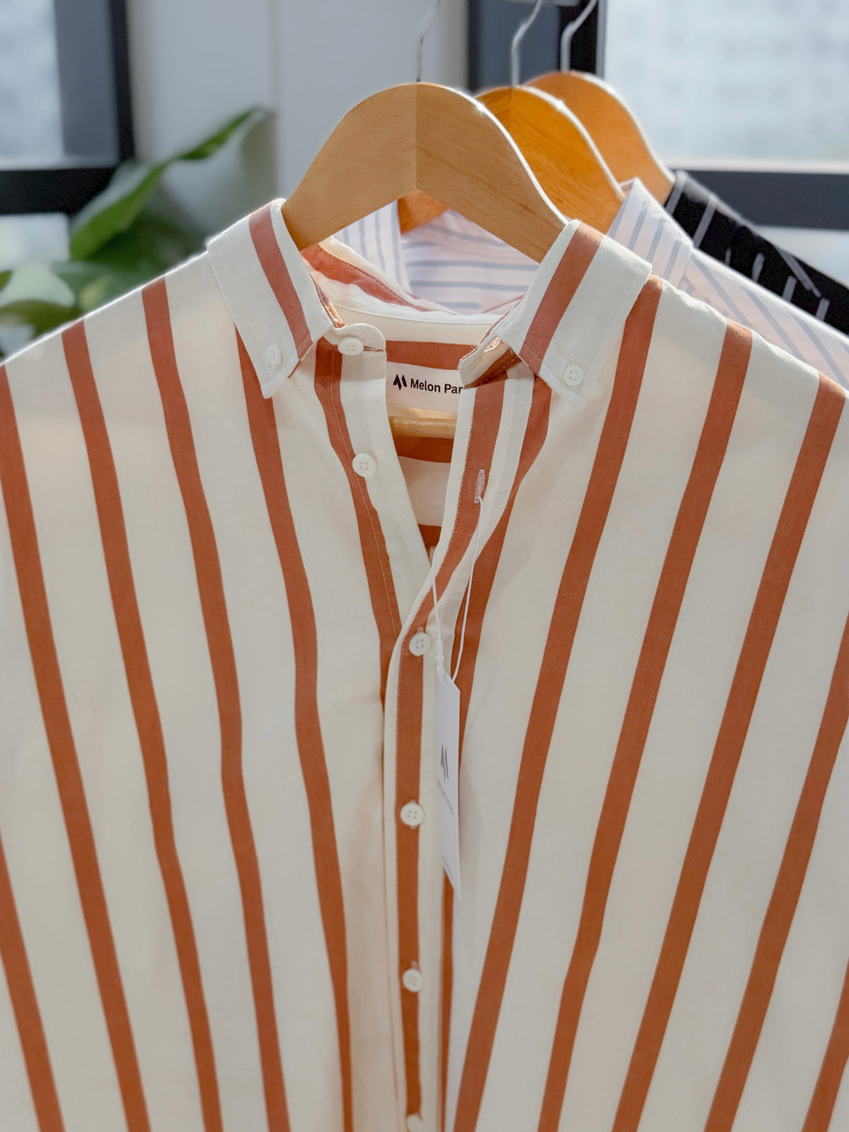 Gentle stripe shirt - Copper Coast