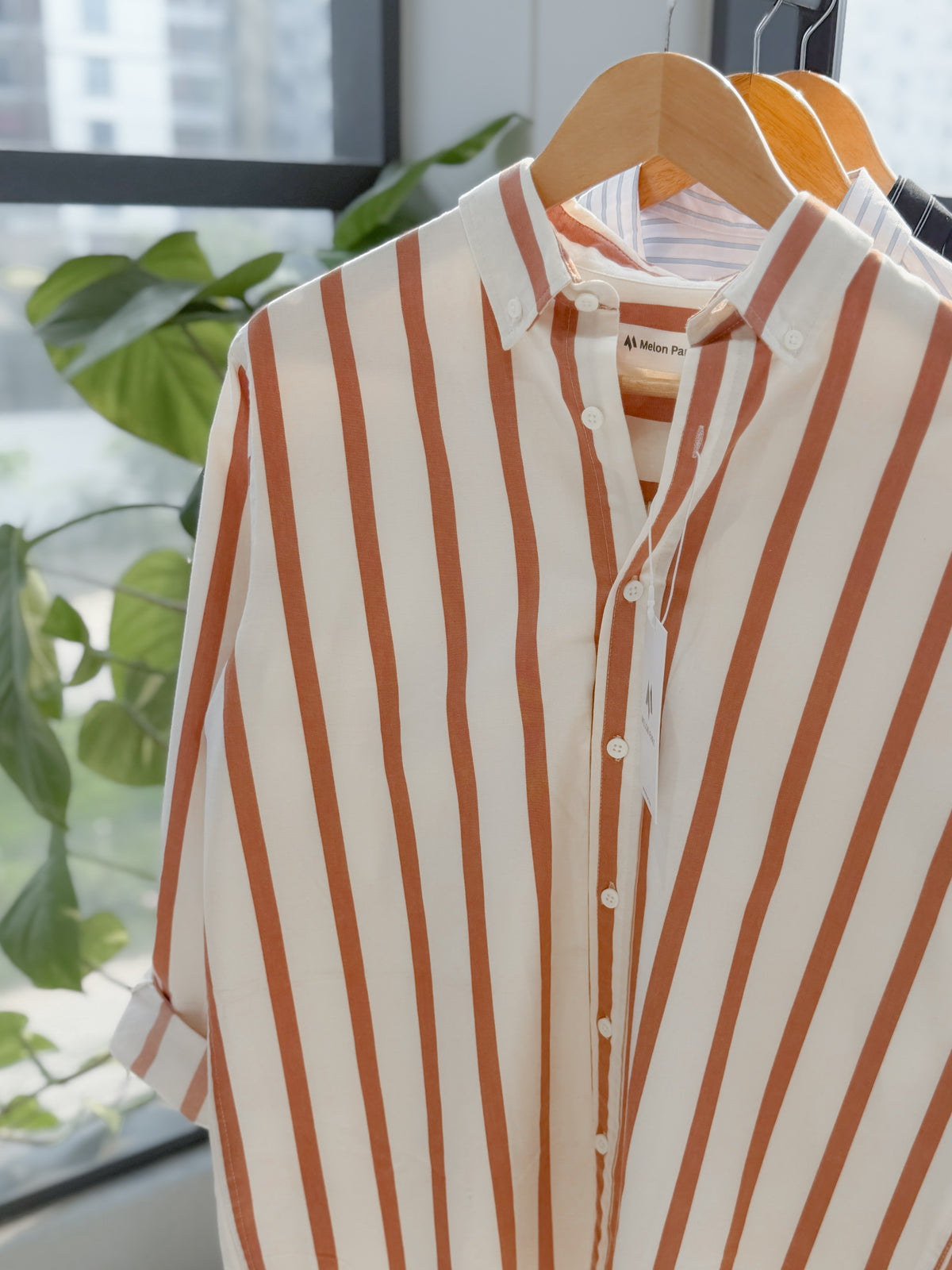 Gentle stripe shirt - Copper Coast