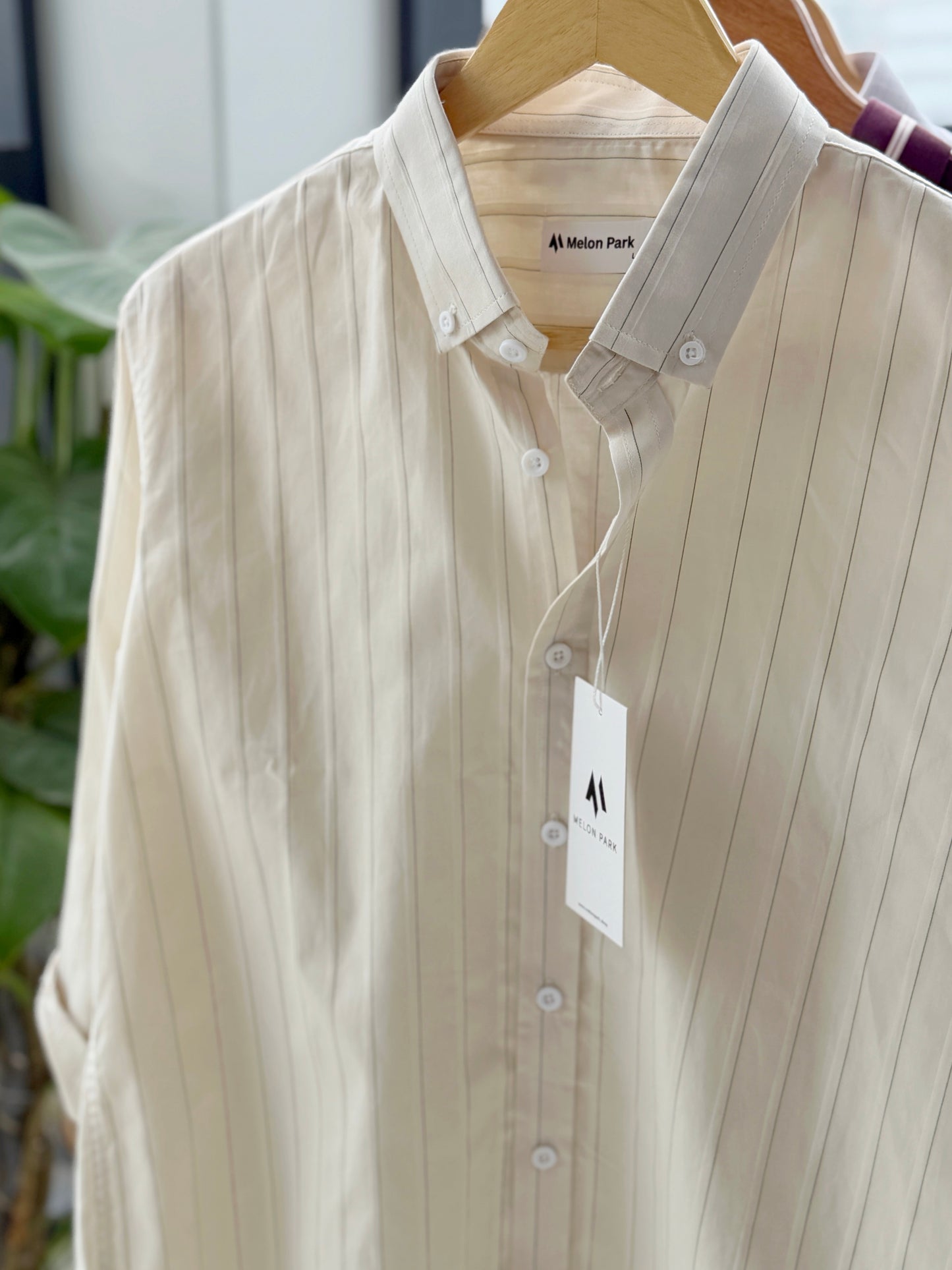 Gentle stripe shirt - Cream with Green pinstripe