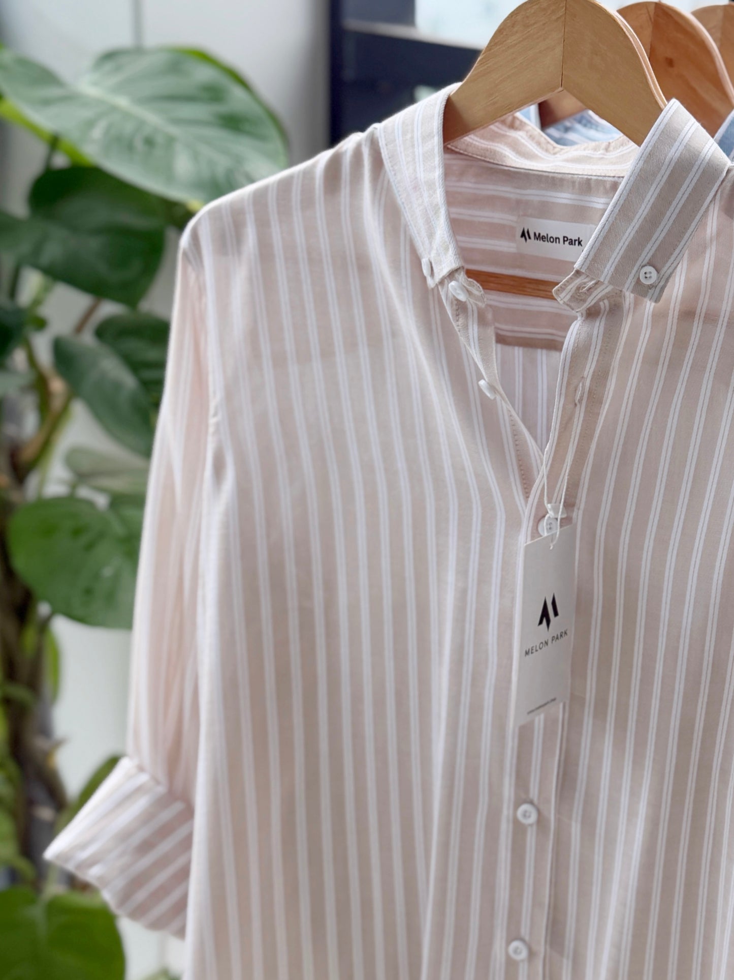 Gentle stripe shirt - Safari tailor