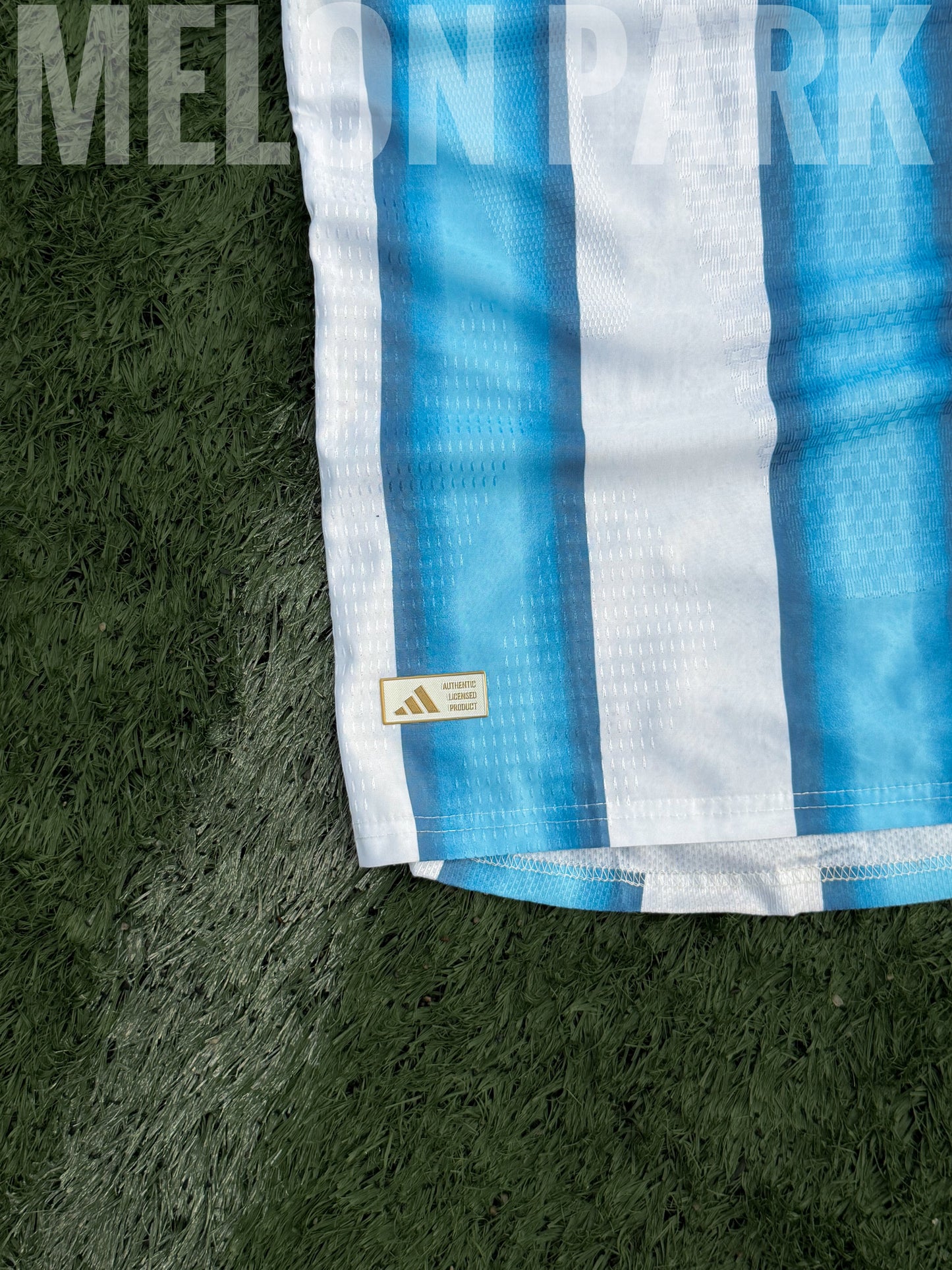 Argentina Home Kit - Player edition