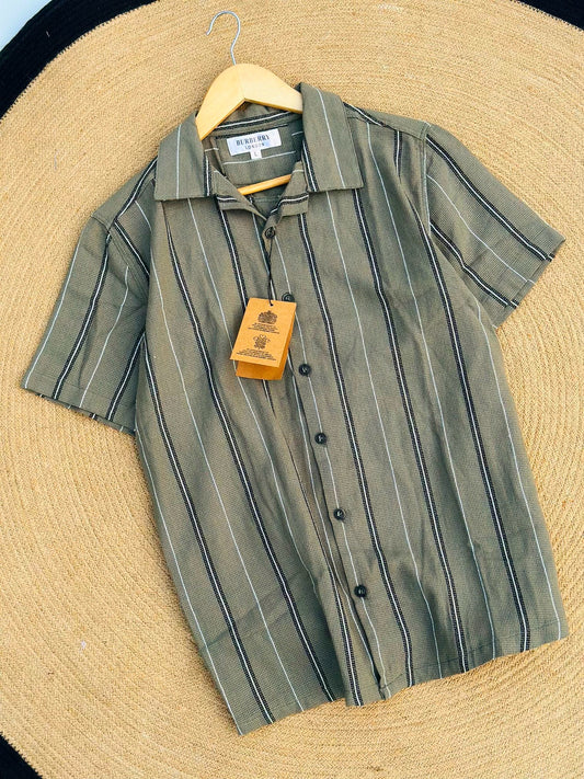 Olive Festive Cuban